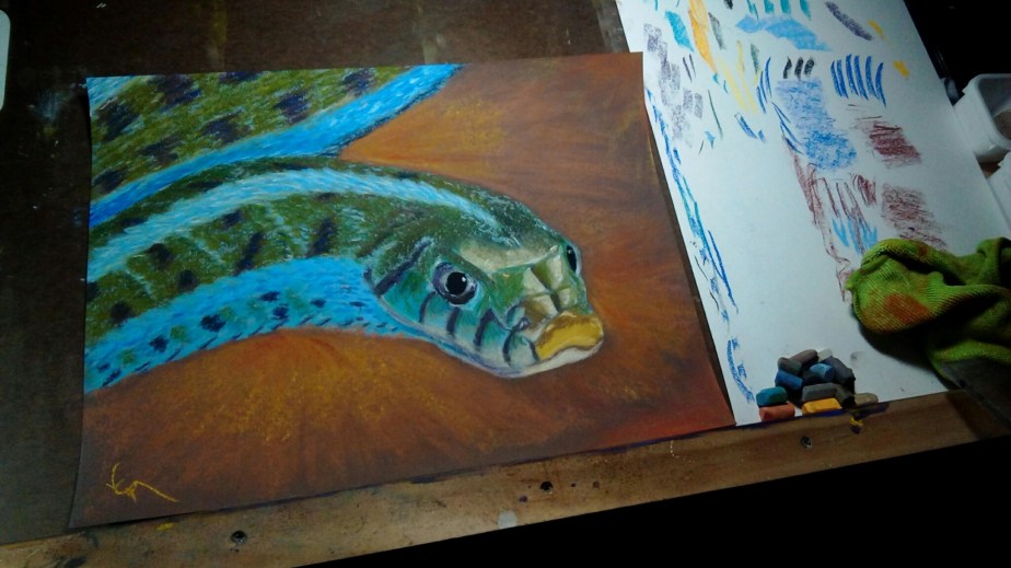 IMG_20180925_1626061_rewind