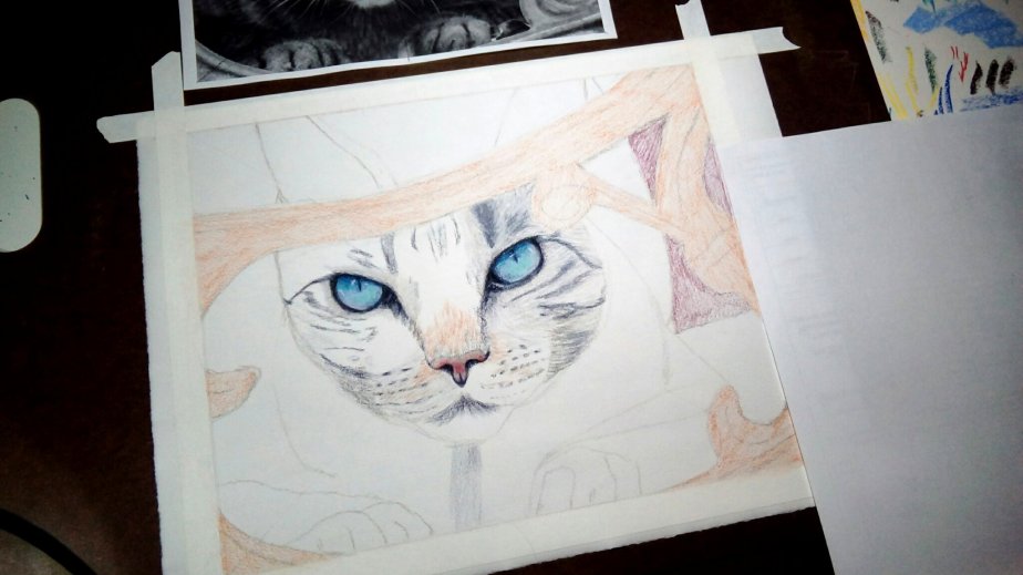 IMG_20180928_1829092_rewind