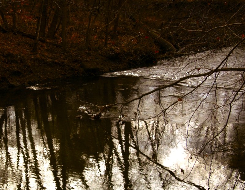 Jelloway Creek, Howard, Ohio B 11/14/18