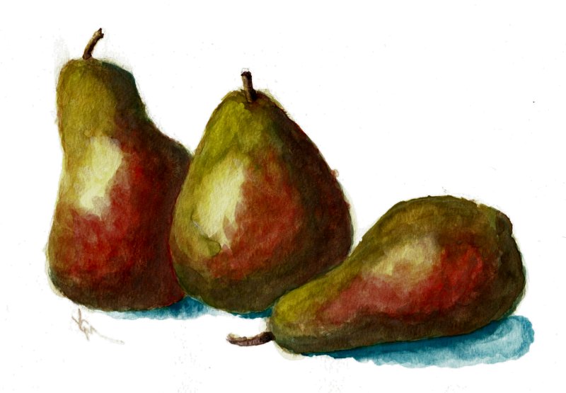 Watercolor Pears